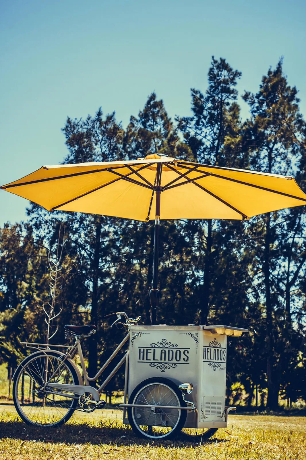 Servicio de helados artesanales para eventos